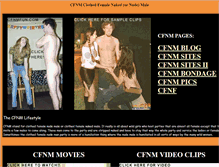 Tablet Screenshot of cfnmfun.com